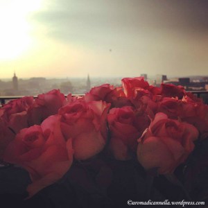 12079305_10206879024727499_5421260824175088011_n